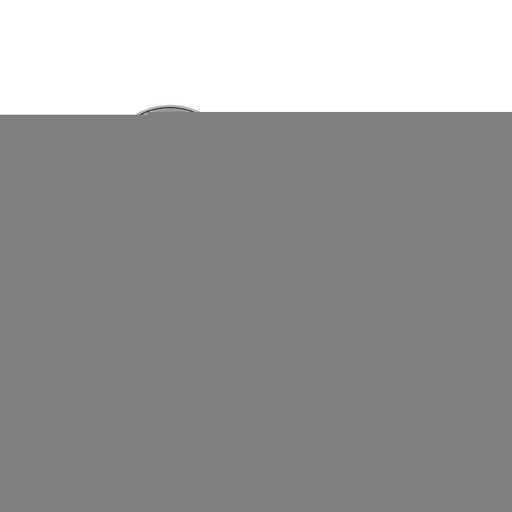 08.N282.11 Brembo Brake Rotor