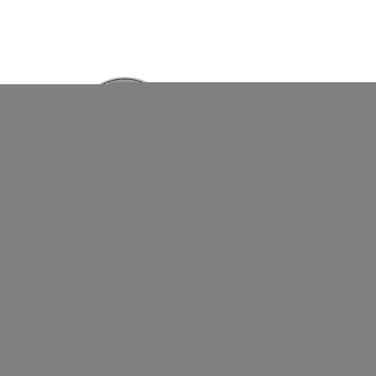 08.N282.11 Brembo Brake Rotor