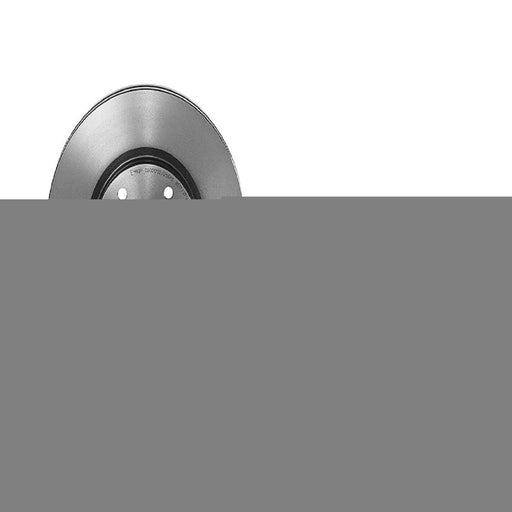 09.C176.11 Brembo Brake Rotor