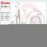 09.D450.11 Brembo Brake Rotor