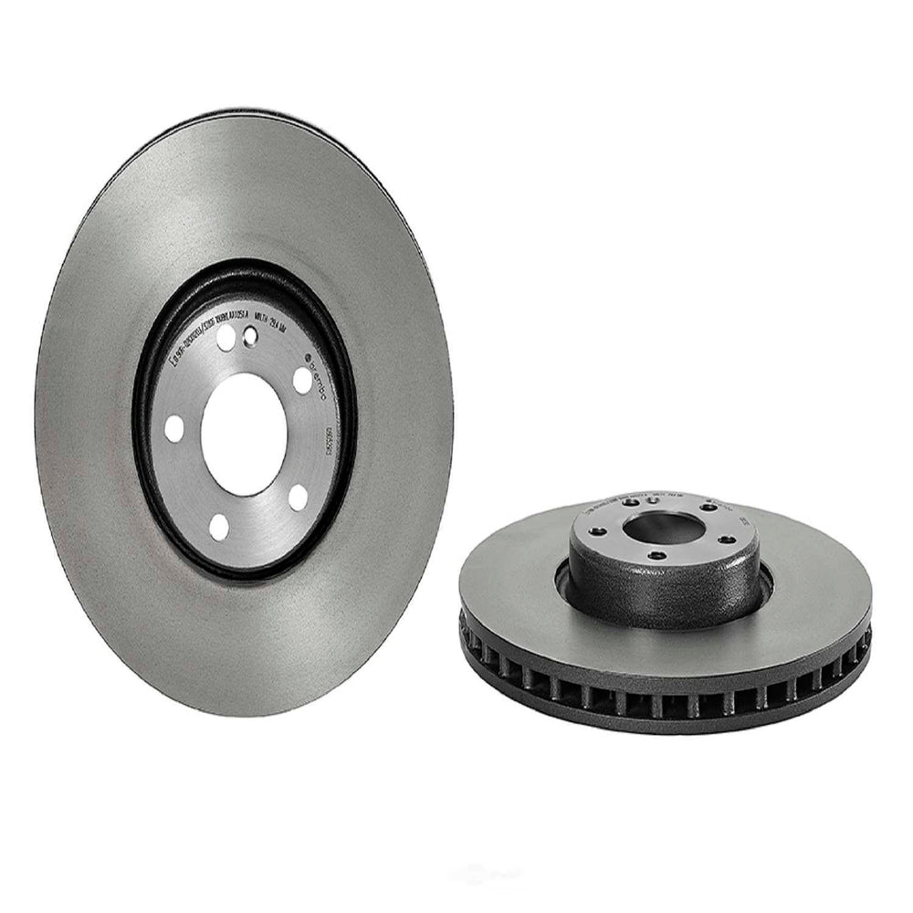 09.D529.13 Brembo Brake Rotor