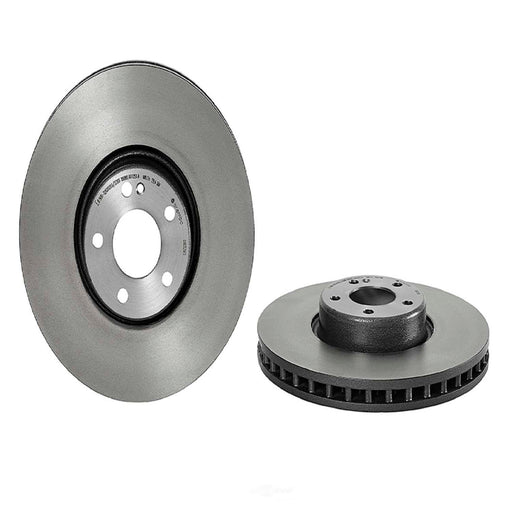 09.D529.13 Brembo Brake Rotor