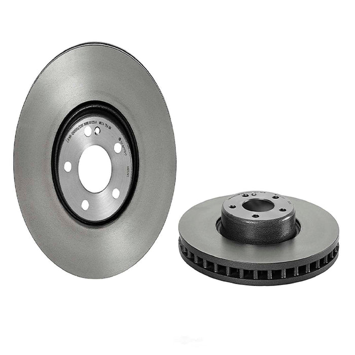 09.D529.13 Brembo Brake Rotor