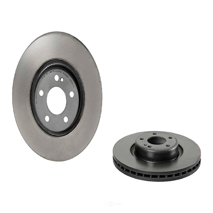 09.D531.13 Brembo Brake Rotor