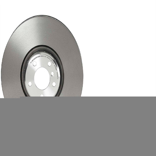 09.D900.13 Brembo Brake Rotor