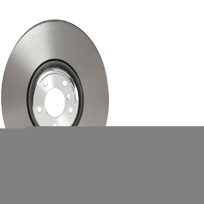 09.D900.13 Brembo Brake Rotor