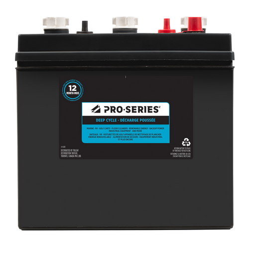 PRO-SERIES Group 901 Deep Cycle Battery, 250 CCA