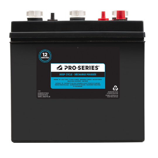 PRO-SERIES Group 901 Deep Cycle Battery, 250 CCA