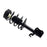 1331648L ProSeries OE Complete Strut Assembly