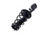 1333376R ProSeries OE Complete Strut Assembly