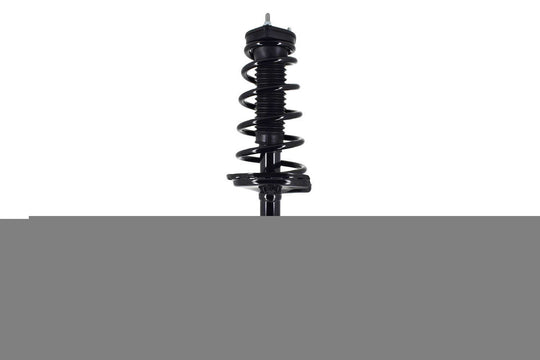 1333435L ProSeries OE Complete Strut Assembly