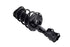 1333524L ProSeries OE Complete Strut Assembly