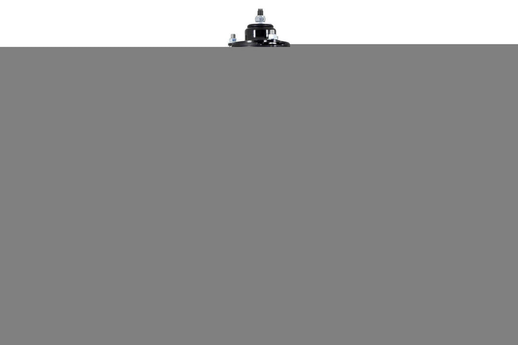 1355017L PROSERIES OE COMPLETE STRUT ASSEMBLY