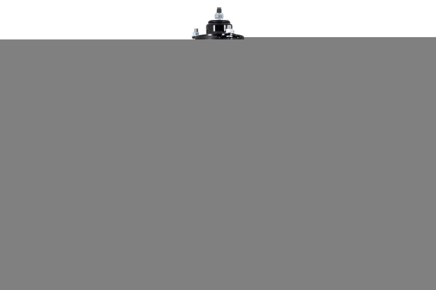 1355017L PROSERIES OE COMPLETE STRUT ASSEMBLY