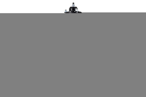 1355017L PROSERIES OE COMPLETE STRUT ASSEMBLY