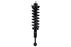 1355017R PROSERIES OE COMPLETE STRUT ASSEMBLY