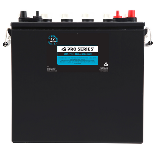 PRO-SERIES Group 921 Deep Cycle Battery, 228 CCA