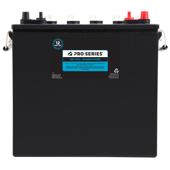 PRO-SERIES Group 921 Deep Cycle Battery, 228 CCA