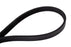 4040329S Continental Serpentine Belt