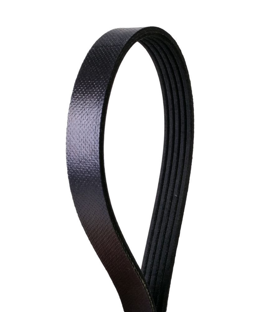 4050365S Continental Serpentine Belt