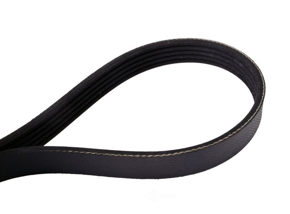 4050365S Continental Serpentine Belt