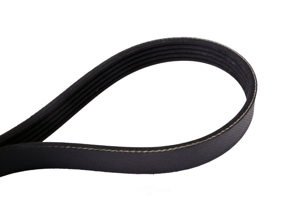 4050685 Continental Serpentine Belt