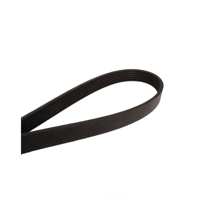 4061382F Continental Serpentine Belt