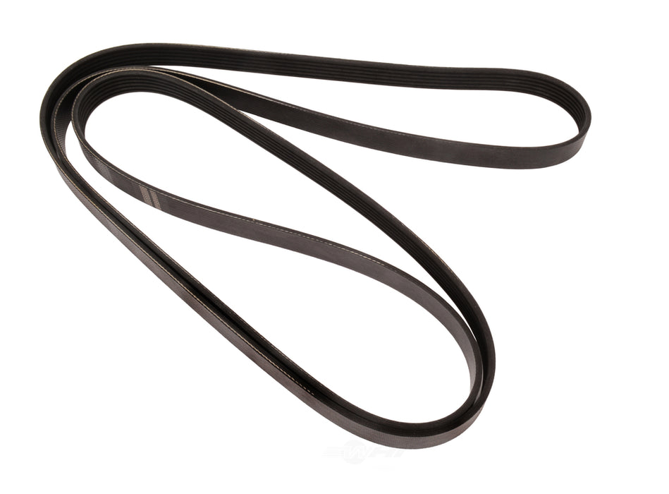 4061382F Continental Serpentine Belt