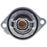 538-187 Motorad OE Type Thermostat