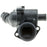 601-212 Motorad OE Type Thermostat