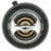 699-180 Motorad OE Type Thermostat