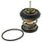 707-203 Motorad OE Type Thermostat