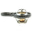 718-195 Motorad OE Type Thermostat