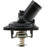 732-172 Motorad OE Type Thermostat