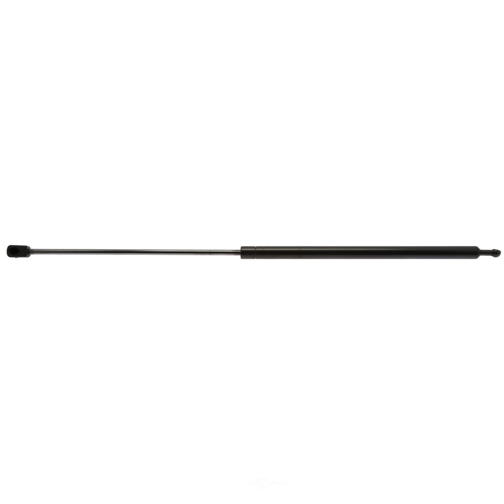 6196 Strong Arm Lift Support