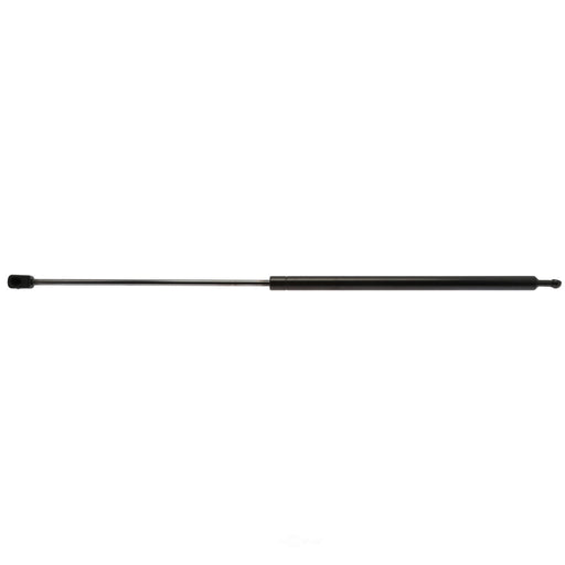 6196 Strong Arm Lift Support
