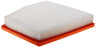 CA12091 FRAM Extra Guard Air Filter