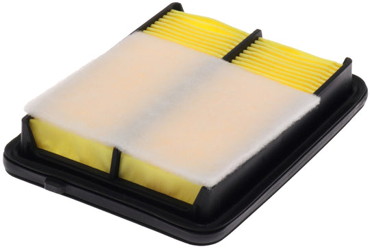 CA12315 FRAM Extra Guard Air Filter