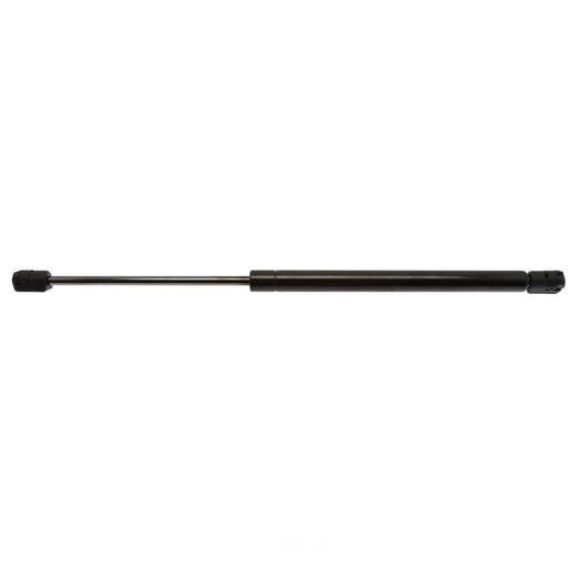 6831 Strong Arm Lift Support