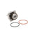 DP1118 Dayco Water Pumps