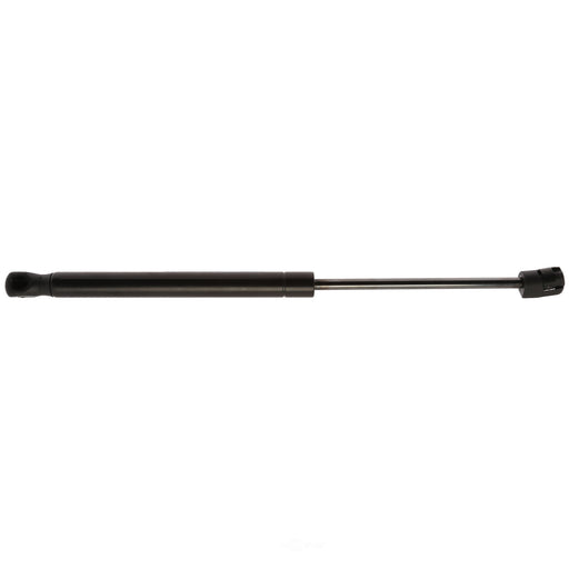 6020 Strong Arm Lift Support
