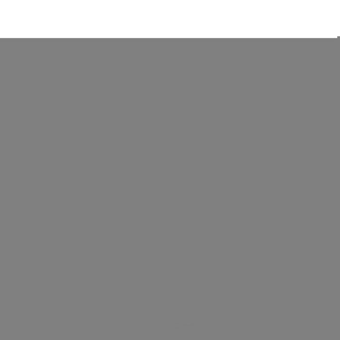 6877 Strong Arm Lift Support