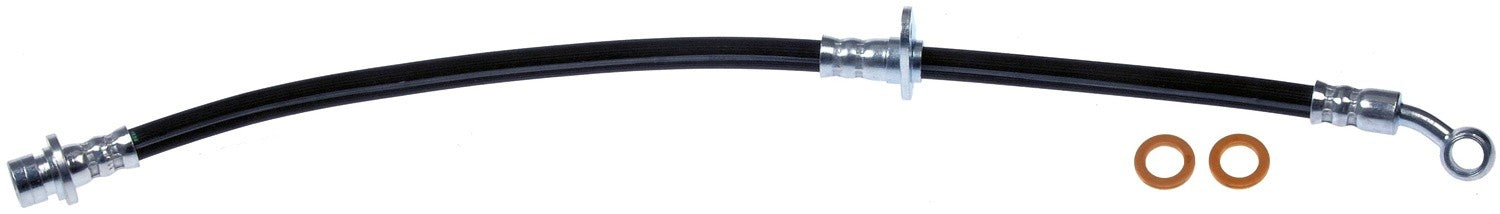 H621637 DORMAN FIRST STOP BRAKE HOSE