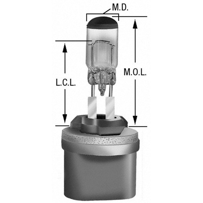 880 Champion Fall/Winter Spark Plug, 1-pk