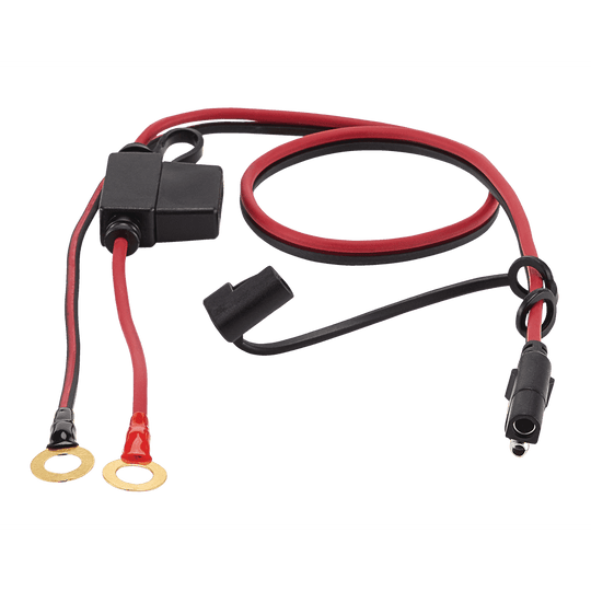 4837-01 MotoMaster Ring Terminal Lead, 2