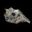 PC03798 PROSERIES OE 100% NEW CALIPER