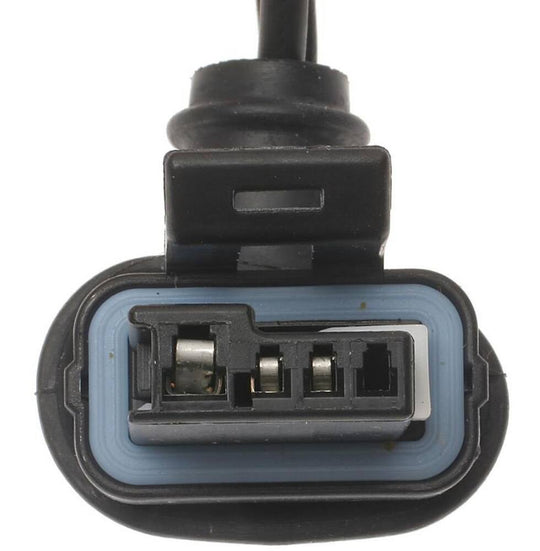 PT2470 BWD Pigtail and Socket