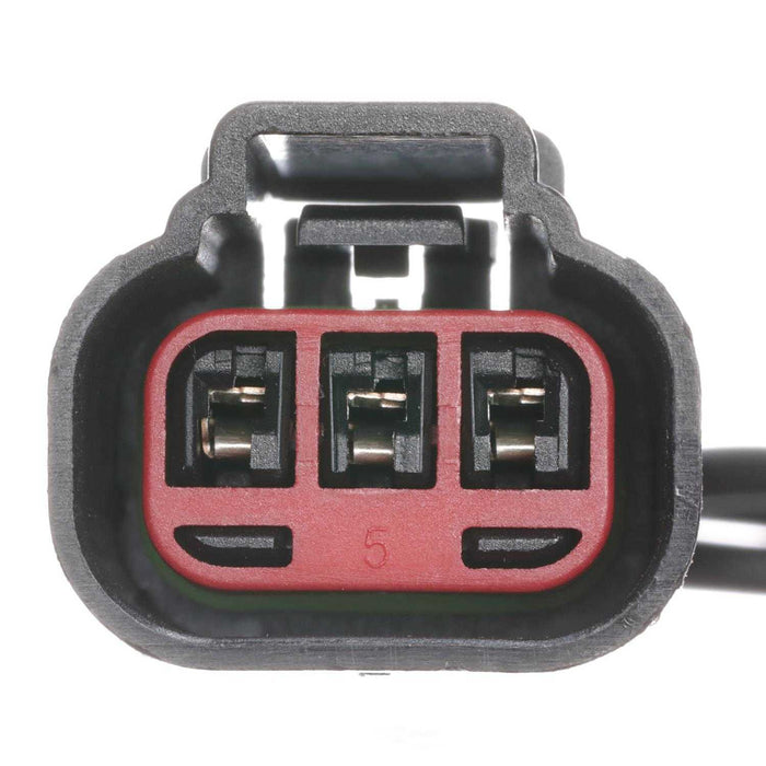 PT2259 BWD Pigtail & Socket
