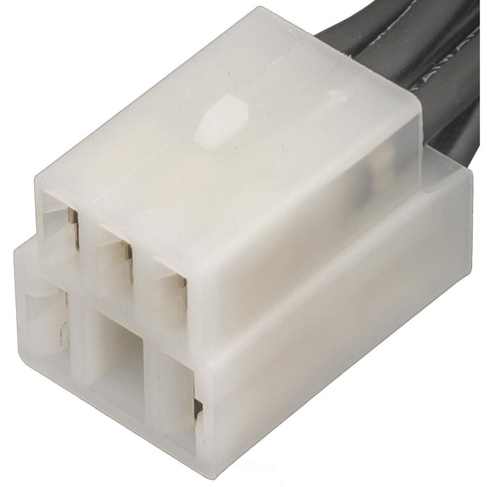 PT2432 BWD Pigtail & Socket
