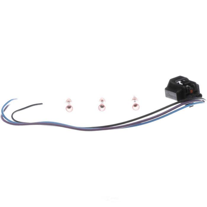 PT2443 BWD Pigtail & Socket